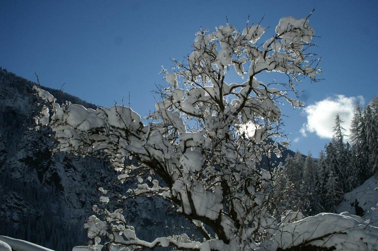 卡纳泽伊Des Alpes 2公寓 外观 照片